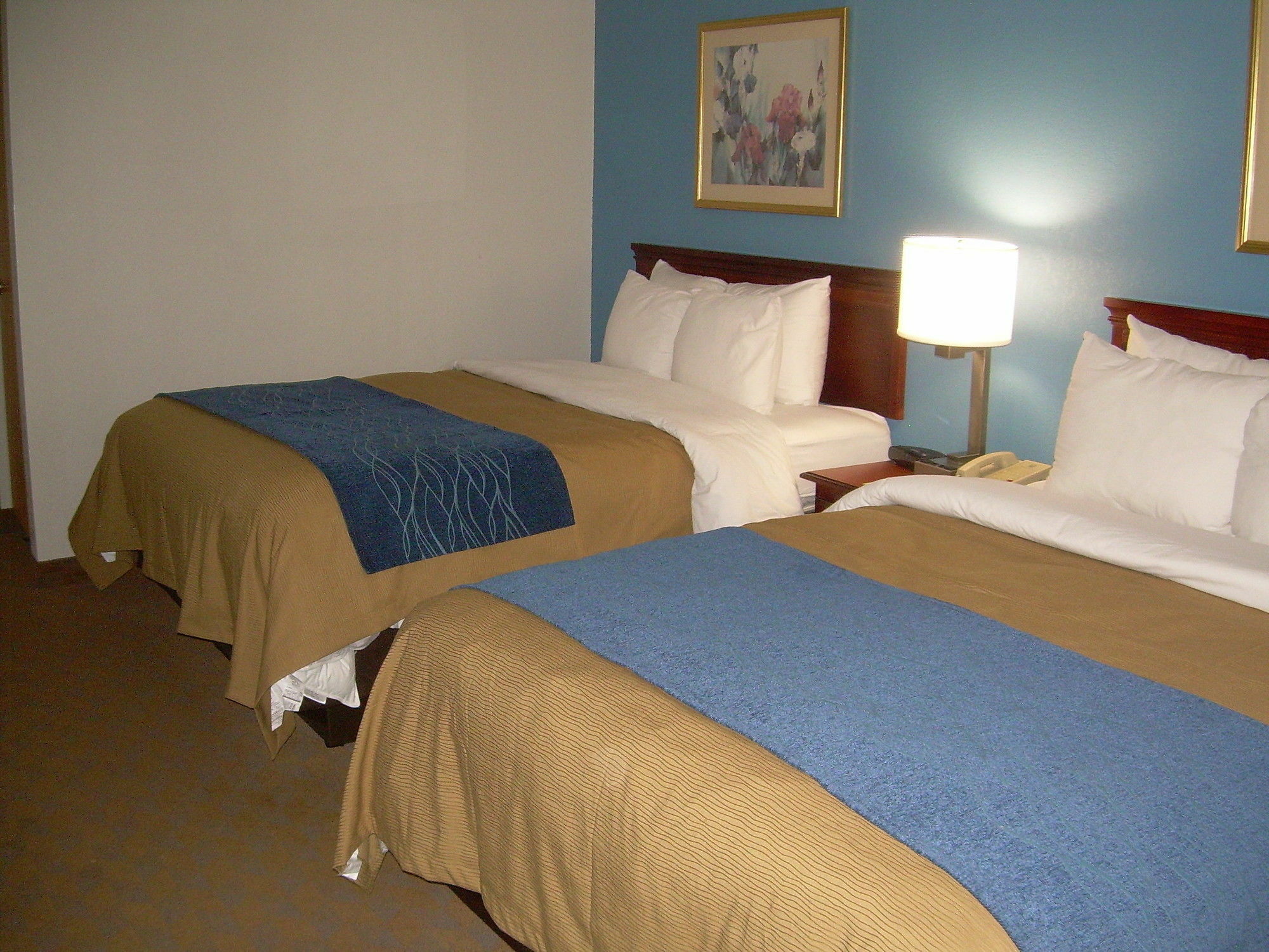 Comfort Inn & Suites Lees Summit - Kansas City Lee's Summit Esterno foto